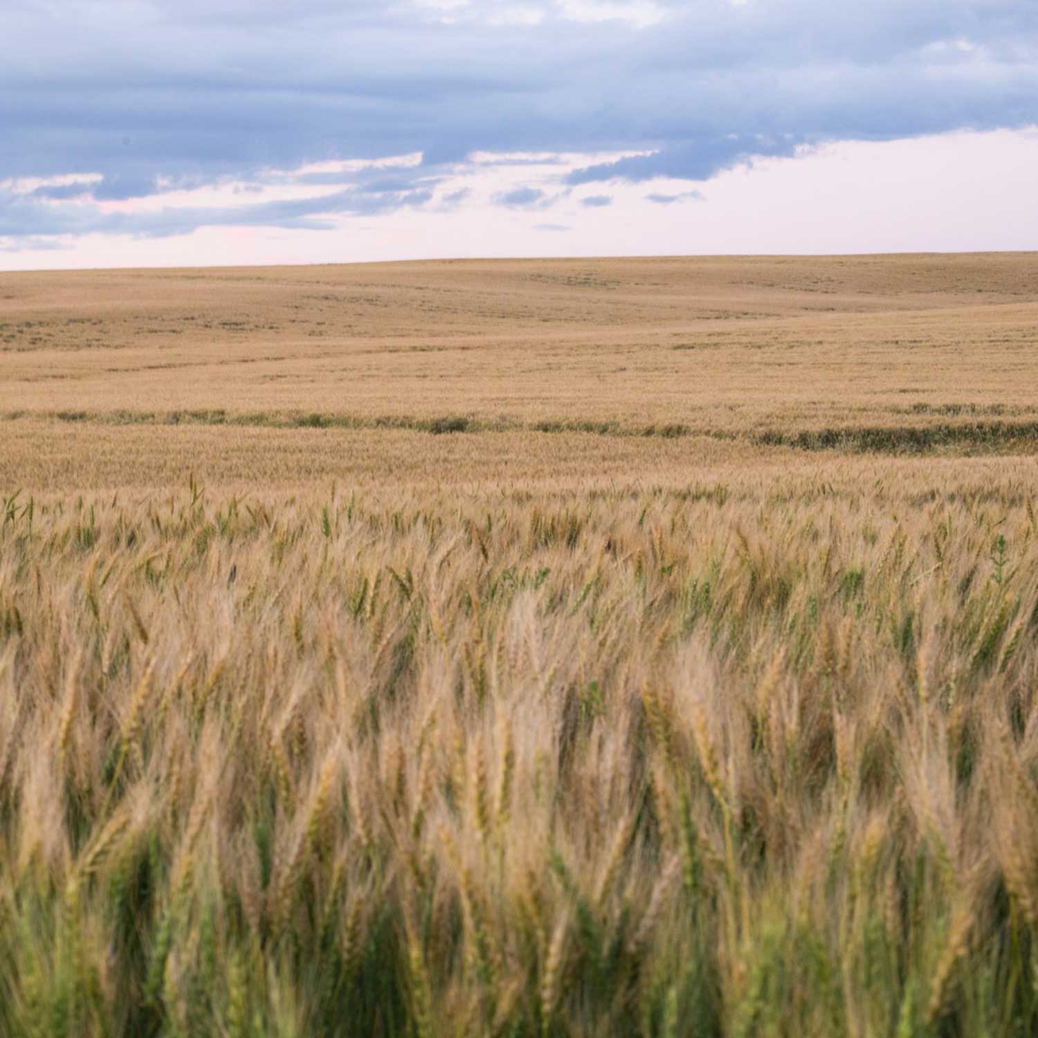 Oilfield-Energy-Production-Equipment-Surplus_Alberta